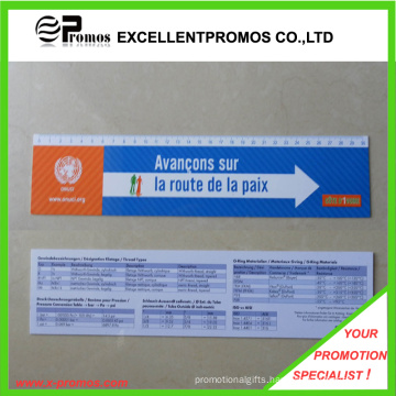 PVC Lenticular Ruler for Promotion (EP-R410244)